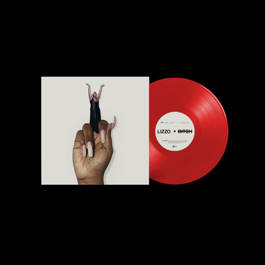 The View　『Which Bitch?』　レコード　LP Which Bitch? - Album by The View | Spotify