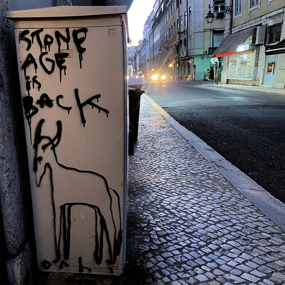 Stone Age Is Back