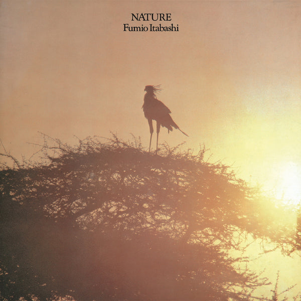 Fumio Itabashi | Nature