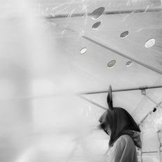 Ozawa Kenji at Hibiya Amphitheater (Official Bootleg)