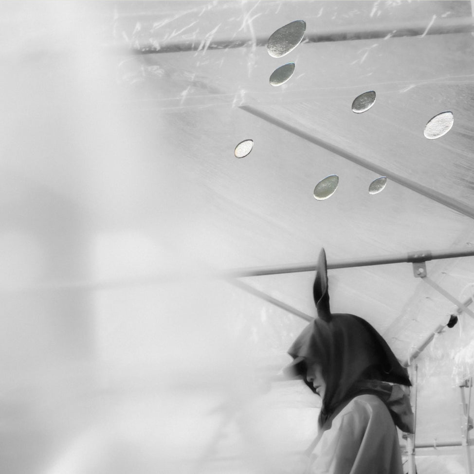 Ozawa Kenji at Hibiya Amphitheater (Official Bootleg)