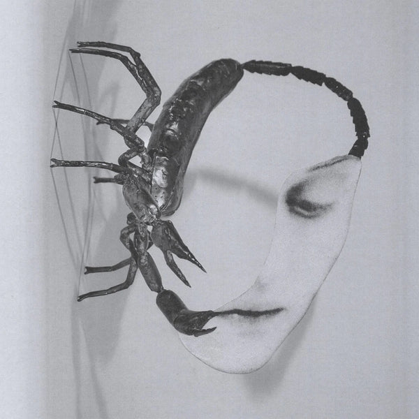 Tortoise | Touch