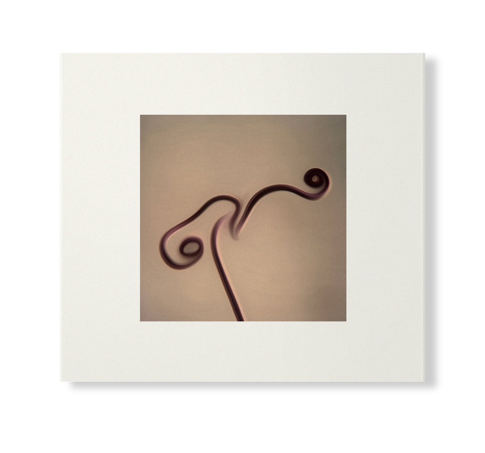 Susumu Yokota | Image 1983-1998 (Skintone Edition) – Light