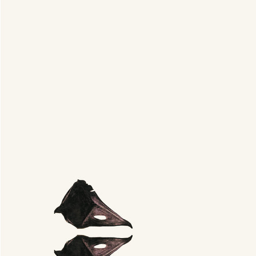 The New Backwards (Extended Edition)