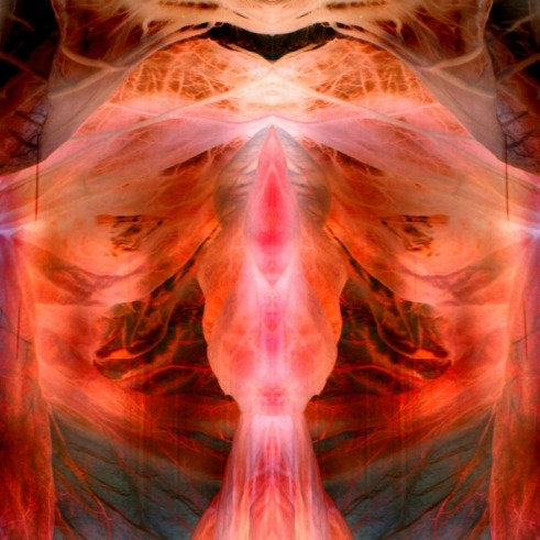 The Annihilating Angel; Or, The Surface Of The World