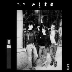 The Rats
