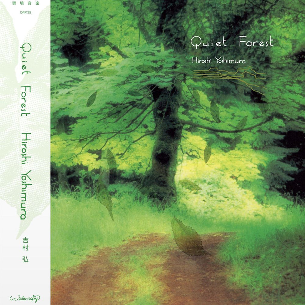 Quiet Forest