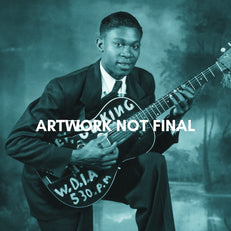 The Road To Blues Guitar King