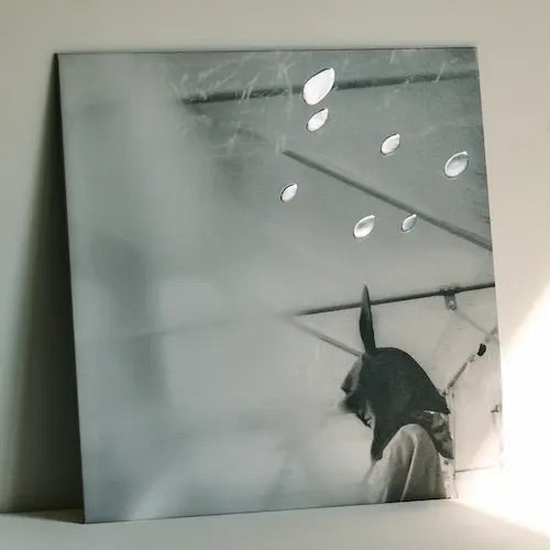 Ozawa Kenji at Hibiya Amphitheater (Official Bootleg)