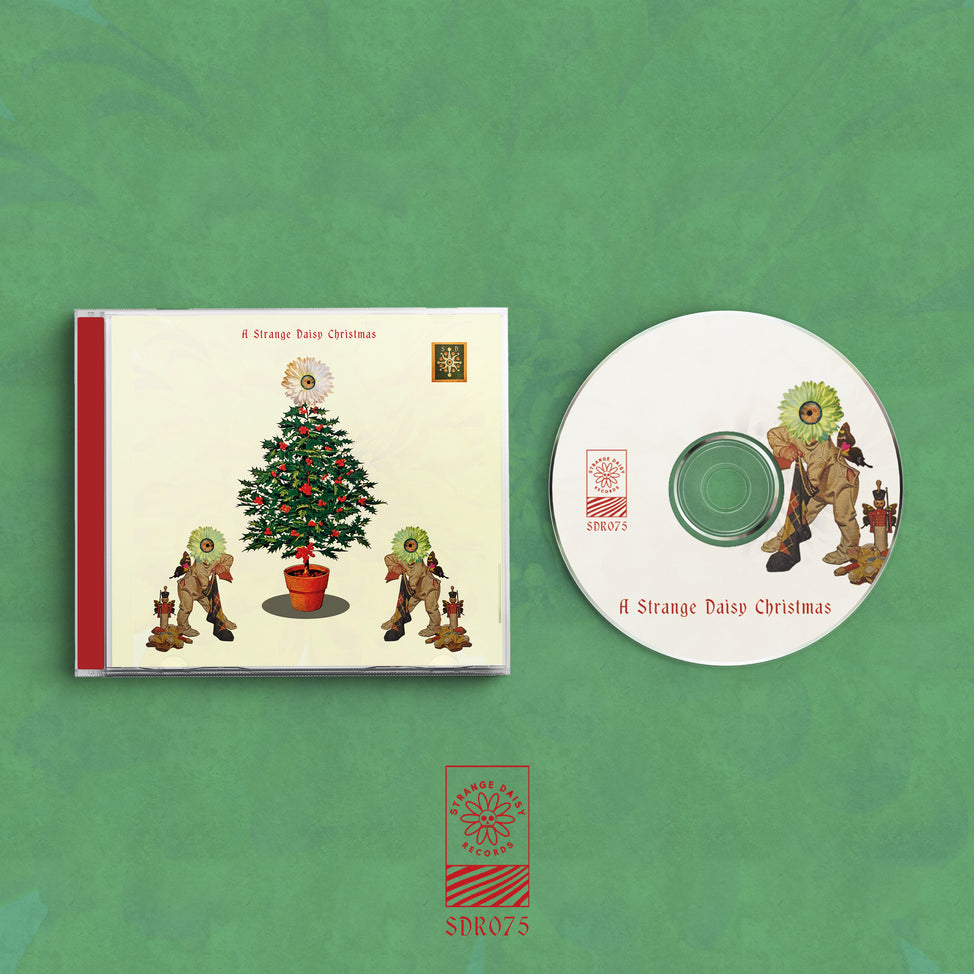 A Strange Daisy Christmas