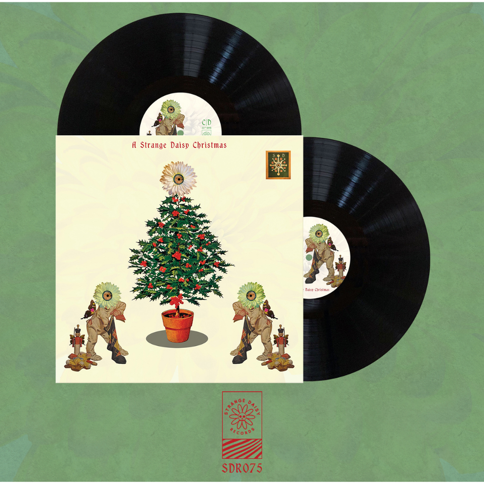 A Strange Daisy Christmas