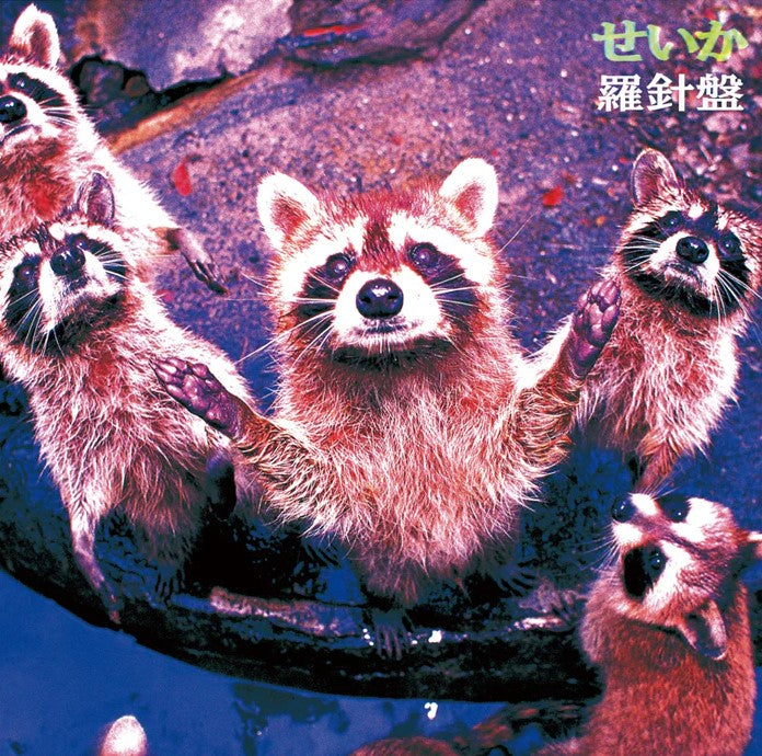 "Seika" album cover by Japanese rock band, Rashiban, featuring a group of raccoons with one reaching its paws up to the sky standing in the center.