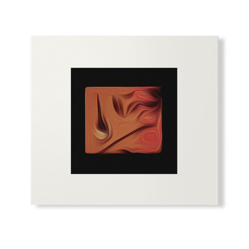 The Boy And The Tree [Skintone Edition]