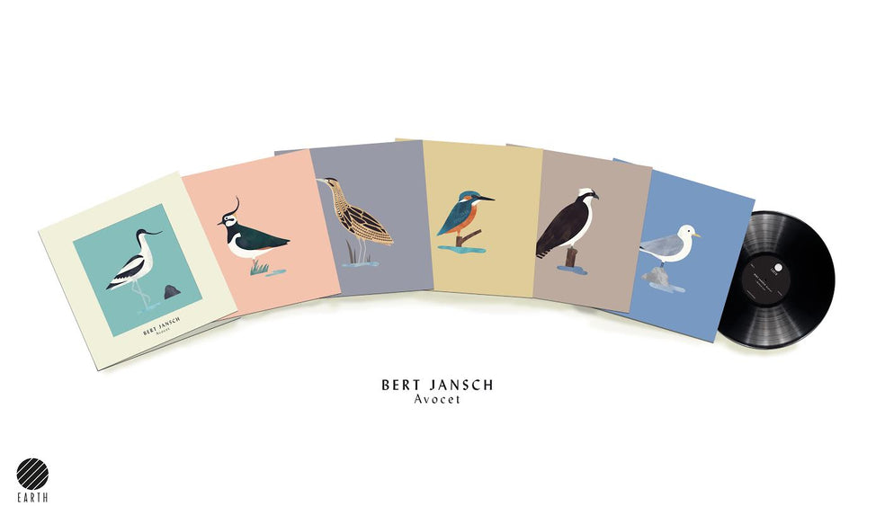 Avocet