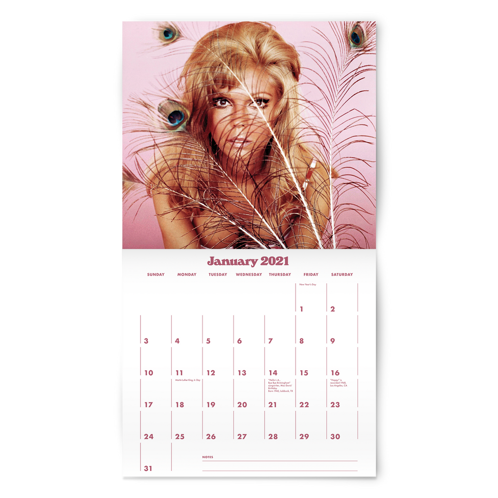 2021 Nancy Sinatra Calendar